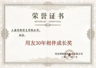 荣誉证书10