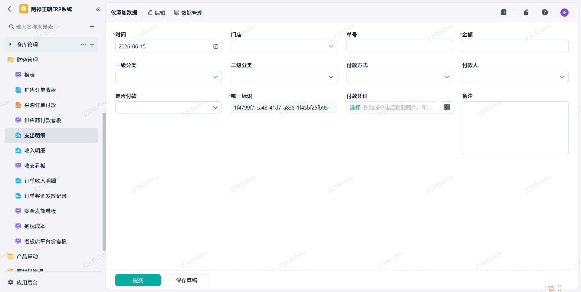 支出明细